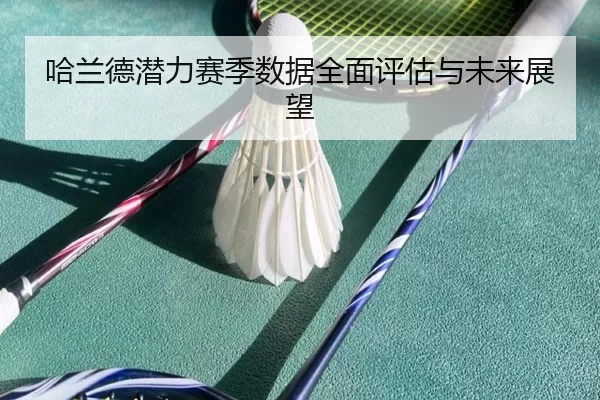 哈兰德潜力赛季数据全面评估与未来展望