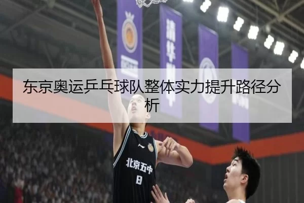 东京奥运乒乓球队整体实力提升路径分析