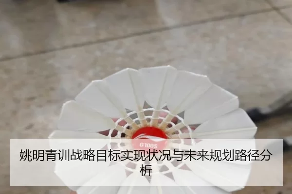 姚明青训战略目标实现状况与未来规划路径分析
